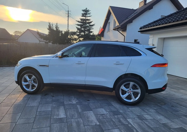 Jaguar F-Pace cena 169500 przebieg: 17500, rok produkcji 2020 z Wyszków małe 742